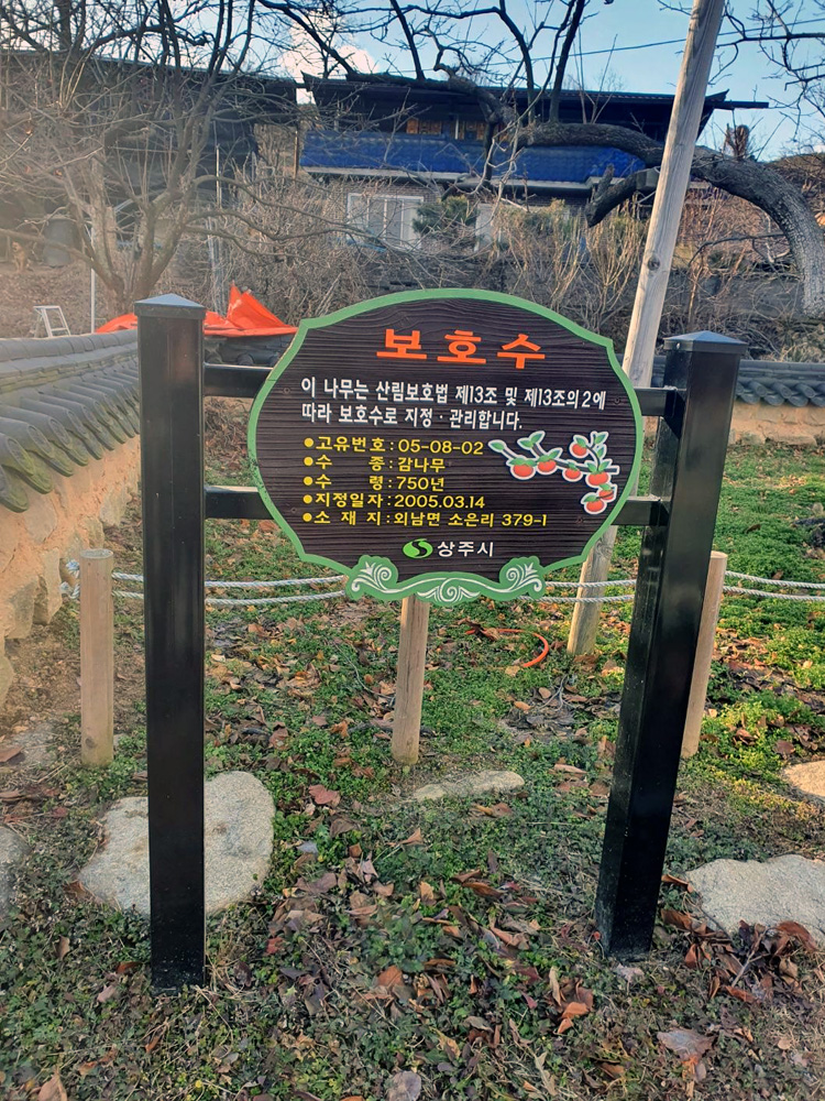 반건시곶감 특상품 개당70g x 20개