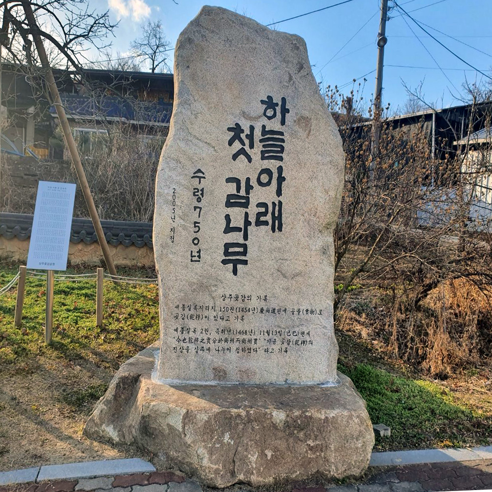 반건시곶감 특상품 개당70g x 20개