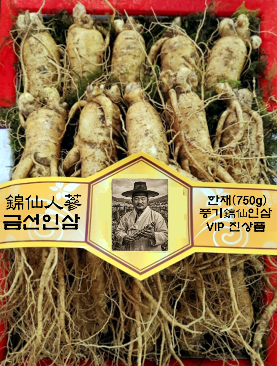 진상품금선인삼 (進上品錦仙人參) 750g (7-8뿌리)