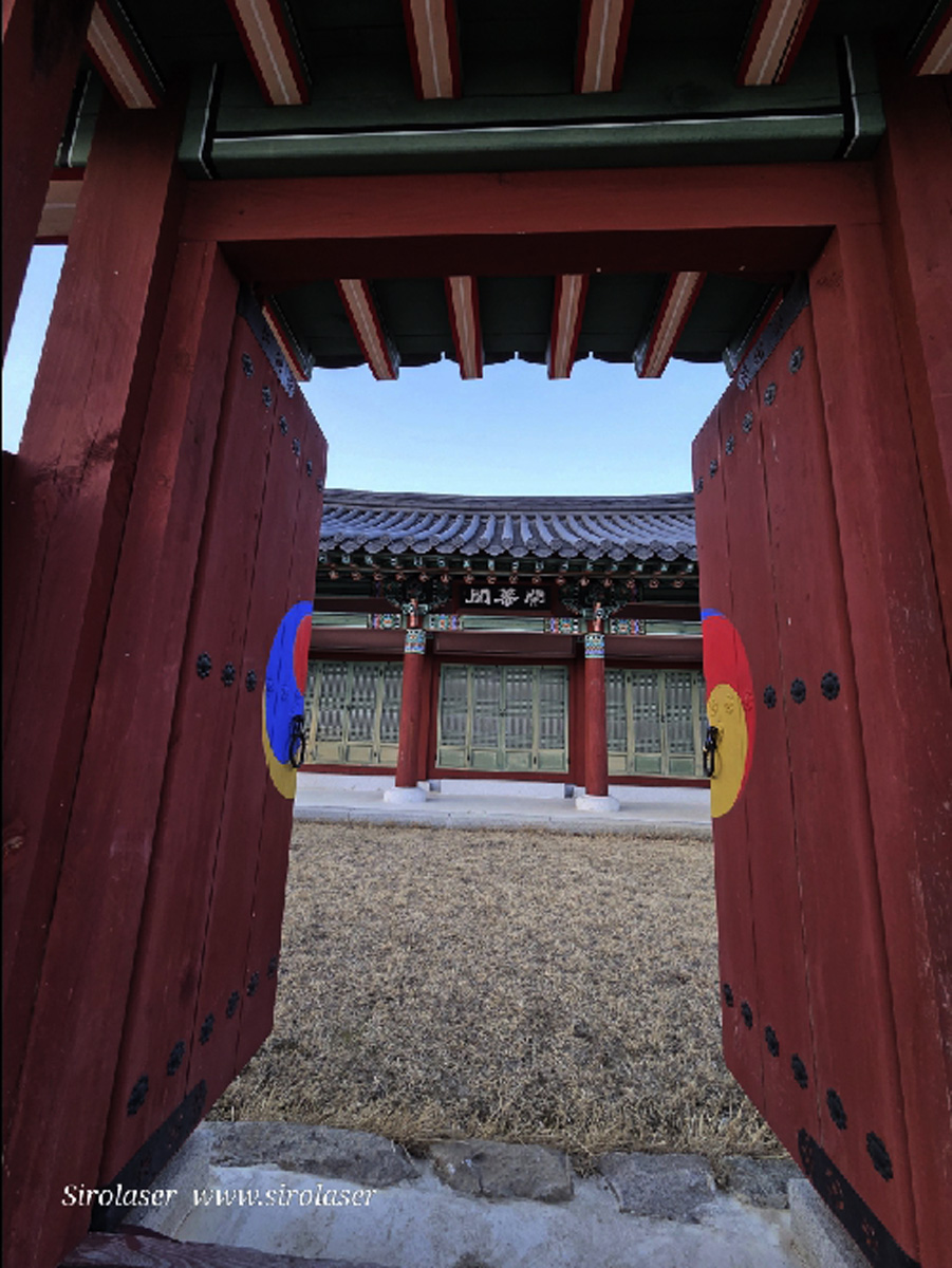 VIP 금선인삼(VIP 錦仙人蔘) 750g (12에서15뿌리)