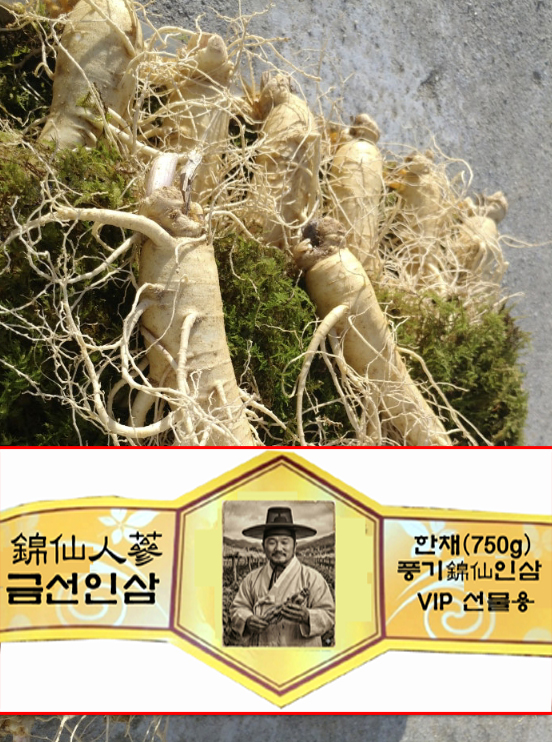 VIP 금선인삼(VIP 錦仙人蔘) 750g (12에서15뿌리)