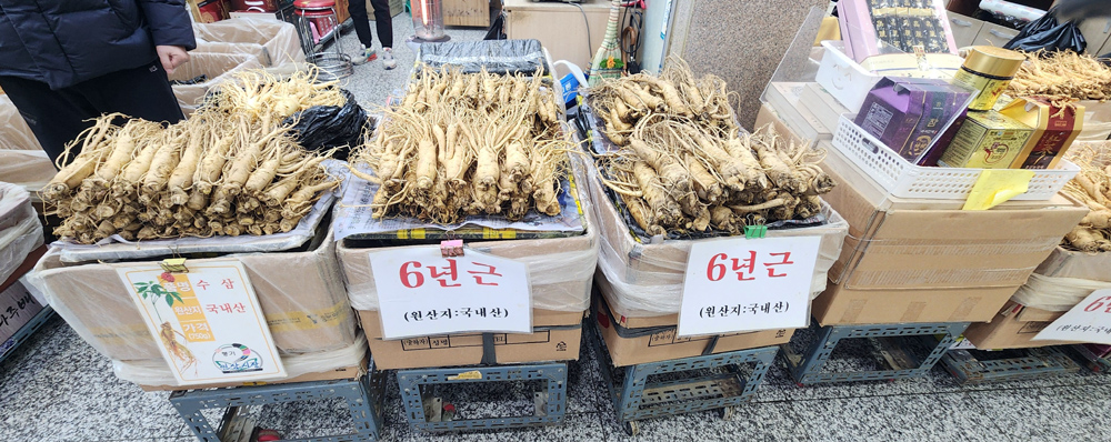 VIP 금선인삼(VIP 錦仙人蔘) 750g (12에서15뿌리)