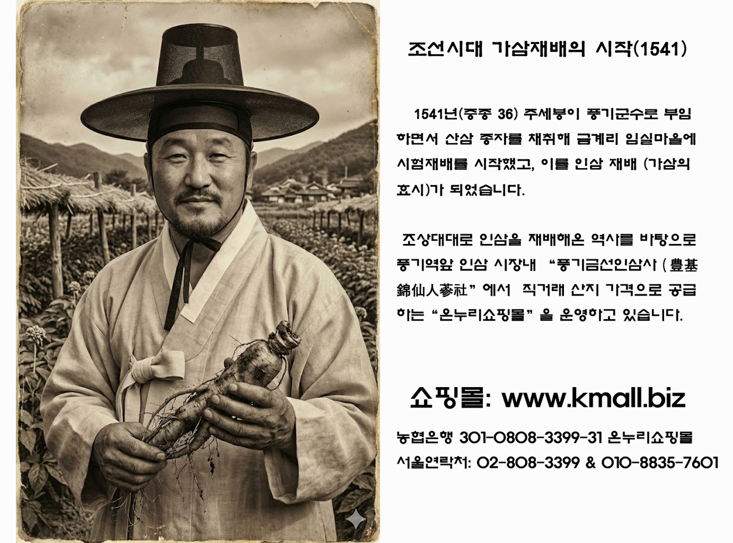 VIP 금선인삼(VIP 錦仙人蔘) 750g (12에서15뿌리)