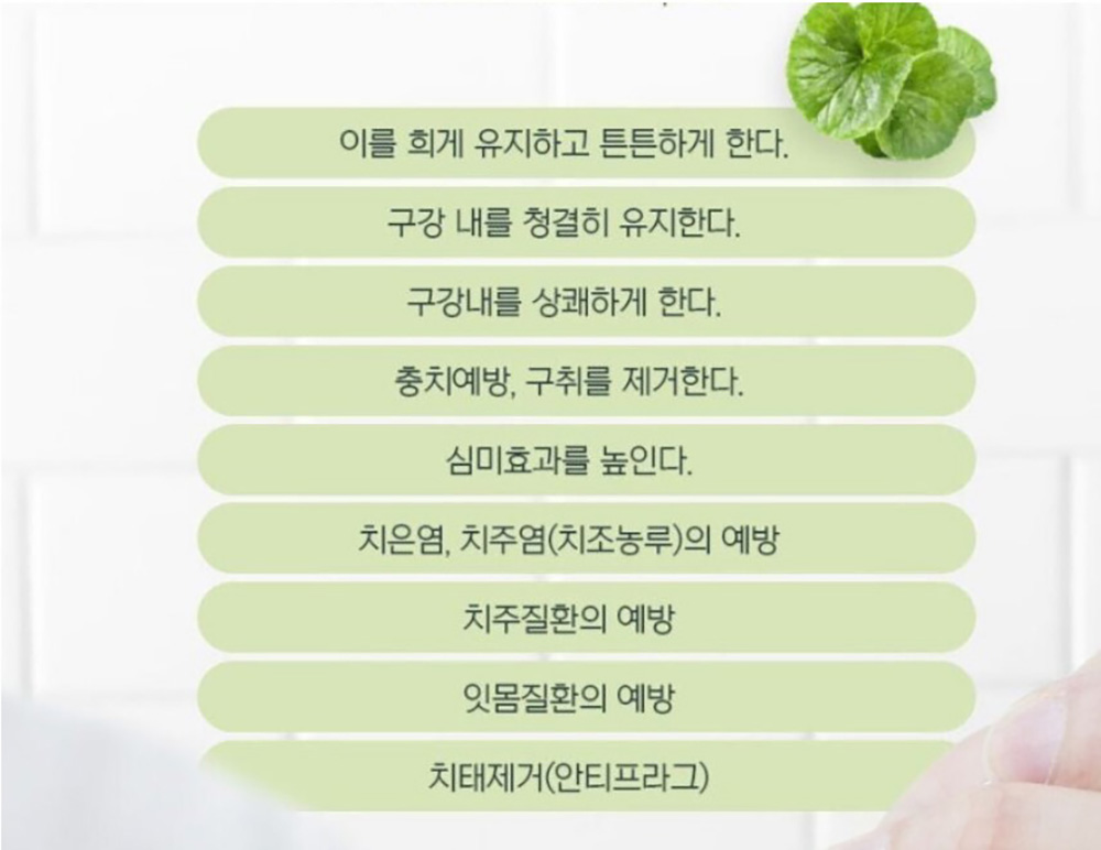 마데병풀 치약 150g x한박스100개 묶음배송