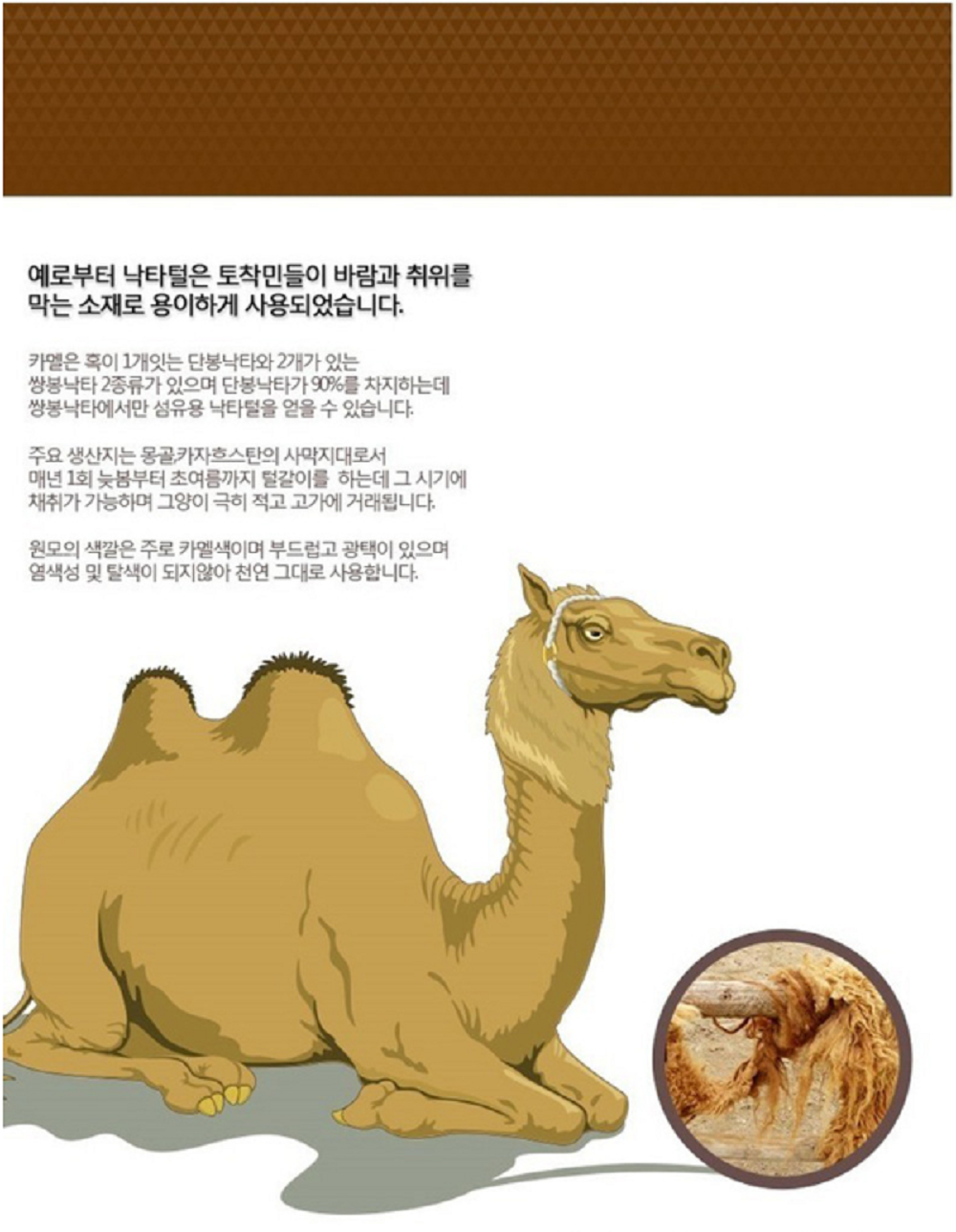 예단용 낙타이불 묶음상품 5개