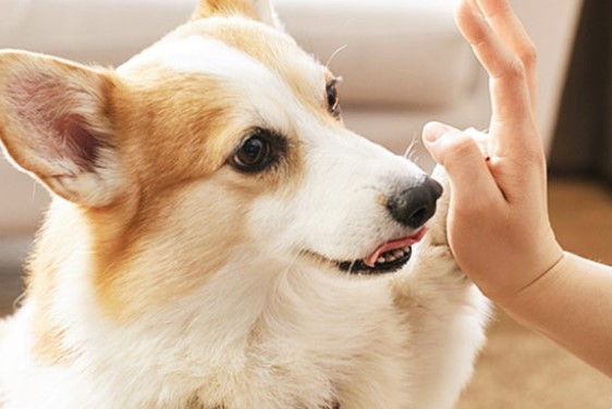 정전기방지팔찌