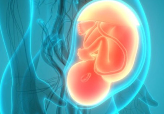 정전기방지팔찌