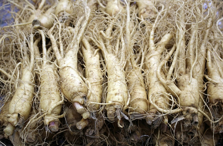 특별선물용 錦仙인삼